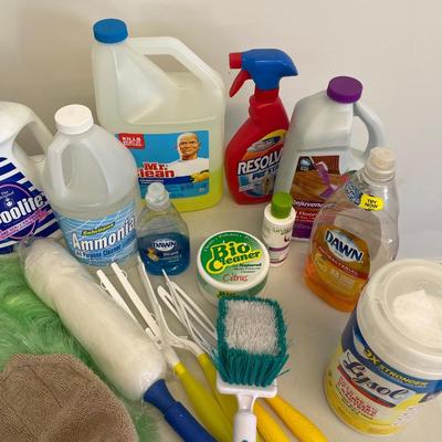 Cleaners and Dusters Lot