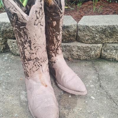 Sale Photo Thumbnail #14: These are not as heavy as if solid concrete so they must be 0attially hollow or made of some other pottery.  They are still heavy enough to not knock over.  Make great decor for your front door or flowerbed