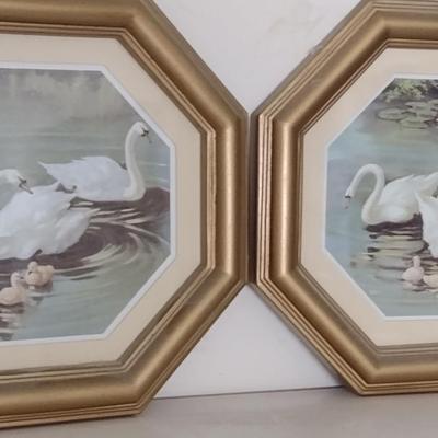 Pair of Framed Swan Family Pictures- Approx 9 3/4" in Diameter