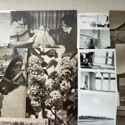 Sale Photo Thumbnail #1006