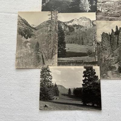 Sale Photo Thumbnail #1003