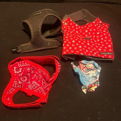 Pet Costumes, Collars & Leashes (D-MG)