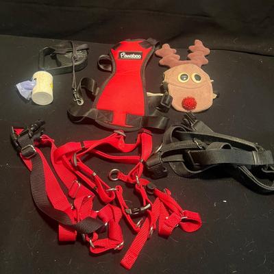 Pet Costumes, Collars & Leashes (D-MG)