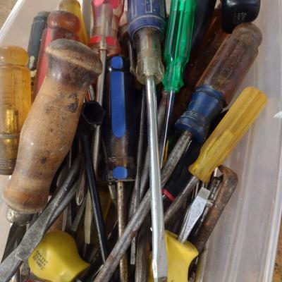 Large Collection of Screwdrivers Various Heads and Sizes