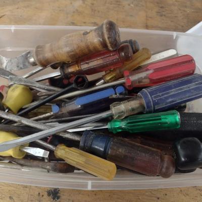 Large Collection of Screwdrivers Various Heads and Sizes