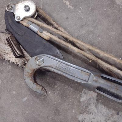 Limb Saw