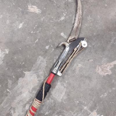 Limb Saw