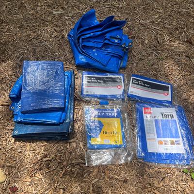 Tarps, Tarps, Tarps (SRC-MG)