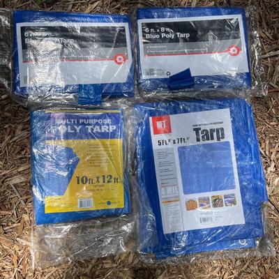 Tarps, Tarps, Tarps (SRC-MG)