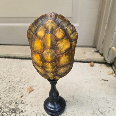 Faux turtle shell