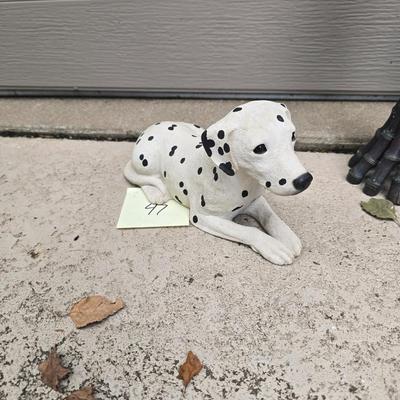 Dalmation