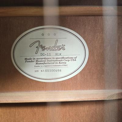 Fender dg11