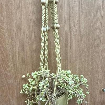 Sale Photo Thumbnail #129: Green macramé material and wood beads. In good condition.