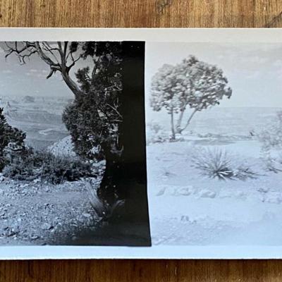 vintage western GRAND CANYON & DESERT VIEW WATCHTOWER SNAPSHOT PHOTOS c1939 vintage western GRAND CANYON & DESERT VIEW WATCHTOWER...