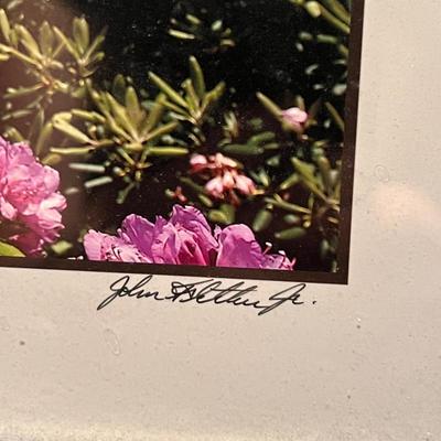 Signed Local Photography (GB1-RG)