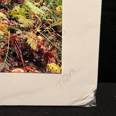 Signed Local Photography (GB1-RG)