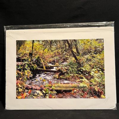 Signed Local Photography (GB1-RG)