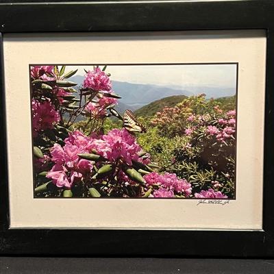 Signed Local Photography (GB1-RG)