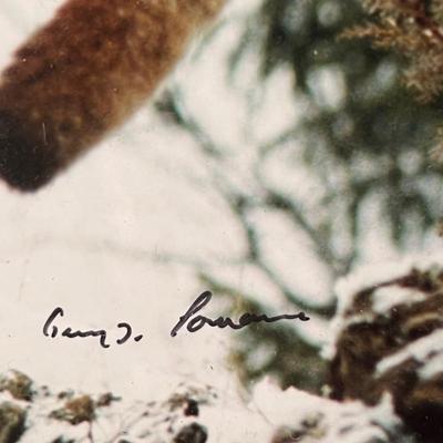 Signed Wildlife Photography in Matching Red Rustic Frames (DR-RG)