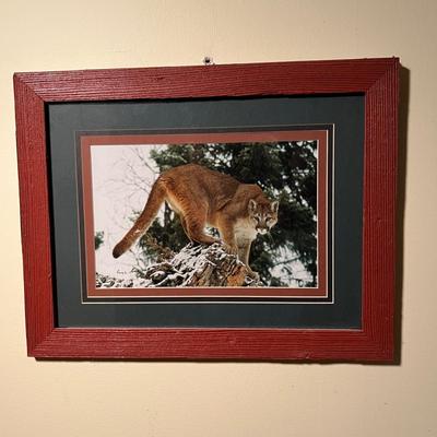 Signed Wildlife Photography in Matching Red Rustic Frames (DR-RG)