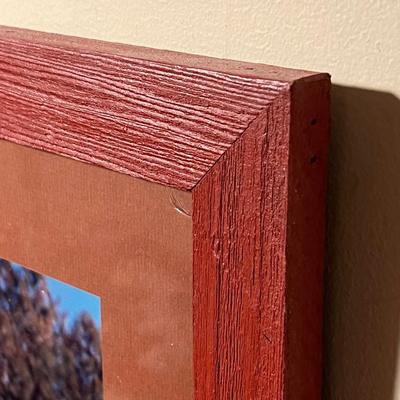 Signed Wildlife Photography in Matching Red Rustic Frames (DR-RG)