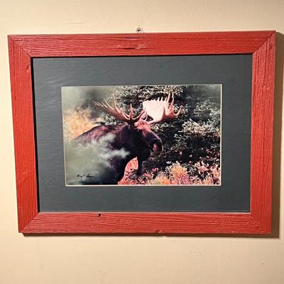 Signed Wildlife Photography in Matching Red Rustic Frames (DR-RG)