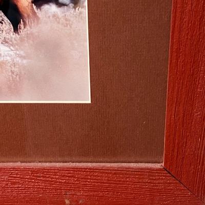 Signed Wildlife Photography in Matching Red Rustic Frames (DR-RG)