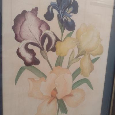 Framed Watercolor Art by Katherine Maxfield
