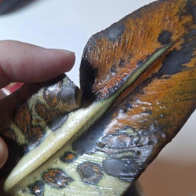 Sale Photo Thumbnail #11: lot of two, they are the same size althought he angle of the photo makes one look larger than the other.  One has a small chip or it is believed to be a chip as the the part of the feather there is not pointed.  These are delicate items, the colors are sl