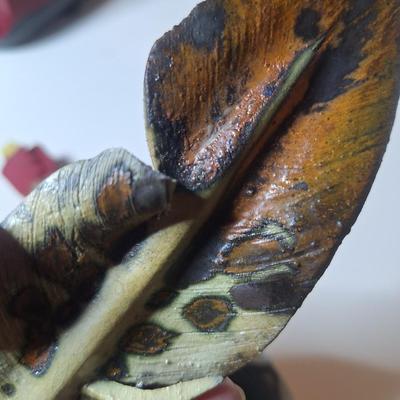 Sale Photo Thumbnail #10: lot of two, they are the same size althought he angle of the photo makes one look larger than the other.  One has a small chip or it is believed to be a chip as the the part of the feather there is not pointed.  These are delicate items, the colors are sl