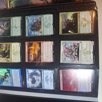 Sale Photo Thumbnail #620: the binder on the left has several cards in it, the one on the right doesn't have any.  See photos