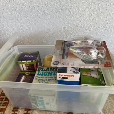 Sale Photo Thumbnail #175: Container of lightbulbs and small desk lamp