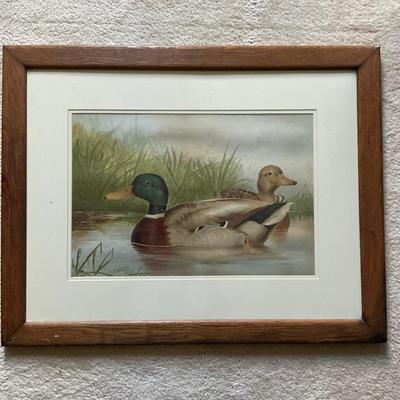 C209 Alexander Pope Lithograph of Mallards