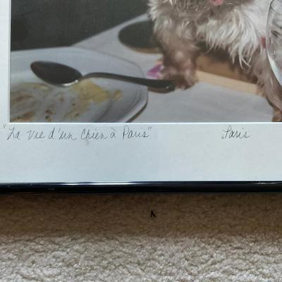 C224 "La Vie d'un Chien a' Paris" Photograph Of Yorkie Named Paris By P. McManus