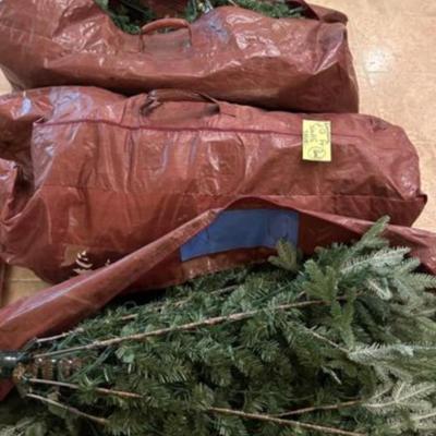 Twelve Foot Christmas Tree
