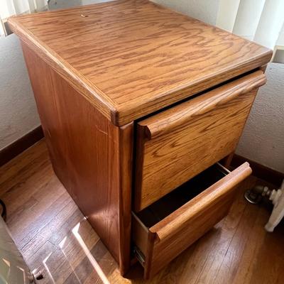 Lot 509 Oak File Cabinet