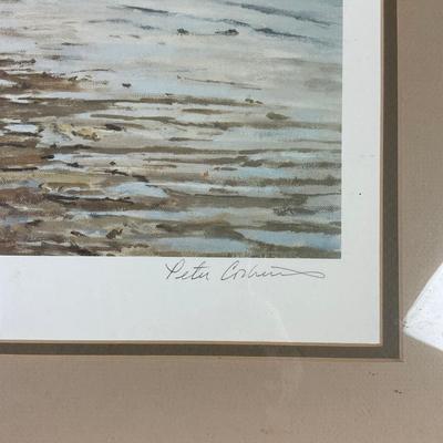 M263 Framed Print By Peter Corbin "A Day To Remember" #1935/4500