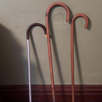 Cane Lot