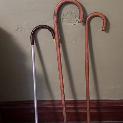 Cane Lot