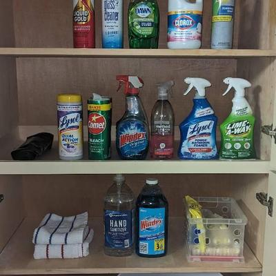Spring Cleaning Lot