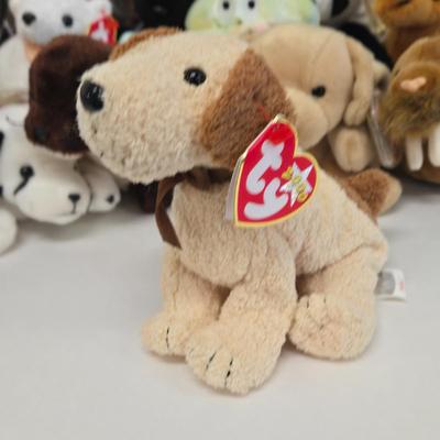 Sale Photo Thumbnail #289