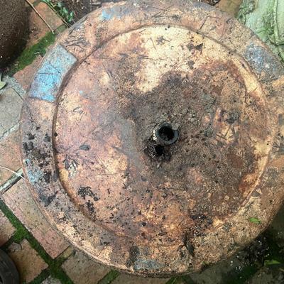 Plants & Plant Pots (FY-MG)