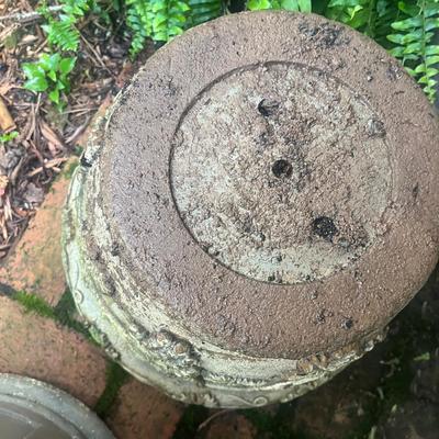 Plants & Plant Pots (FY-MG)