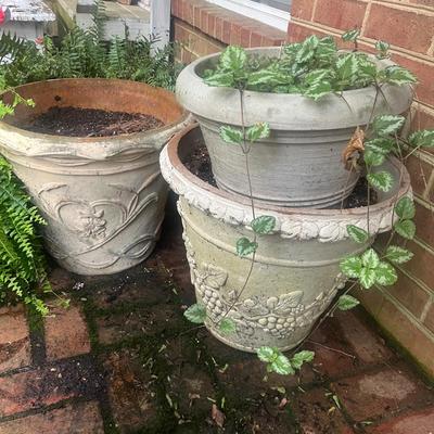 Plants & Plant Pots (FY-MG)