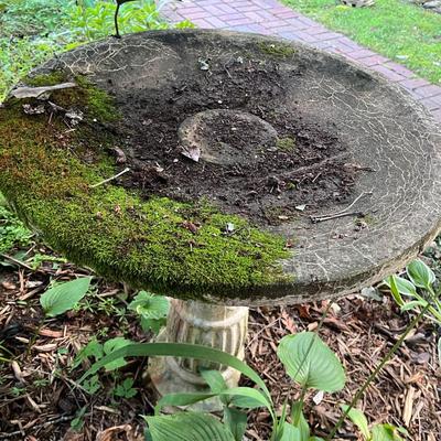 Cement Birdbath (FY-MG)