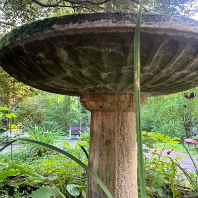 Cement Birdbath (FY-MG)