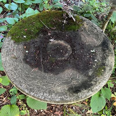 Cement Birdbath (FY-MG)