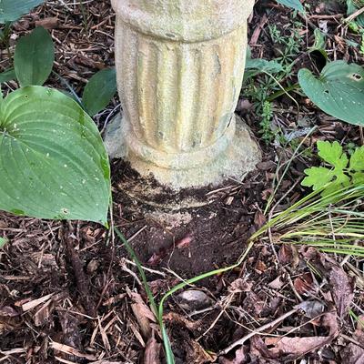 Cement Birdbath (FY-MG)