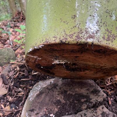 Five Glazed Plant Pots (FY-MG)
