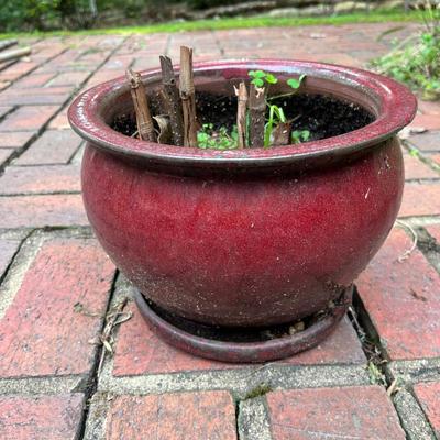 Five Glazed Plant Pots (FY-MG)